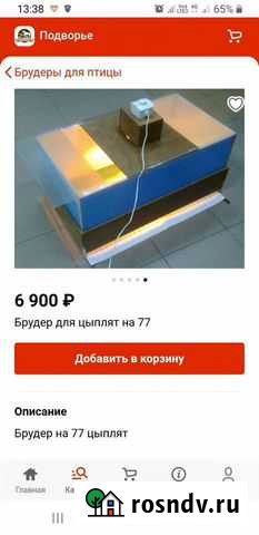 Брудер для цыплят на 77 птенцов Дзержинское - изображение 1