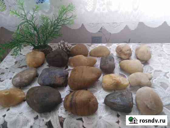 Камушки для Аквариума Клинцы