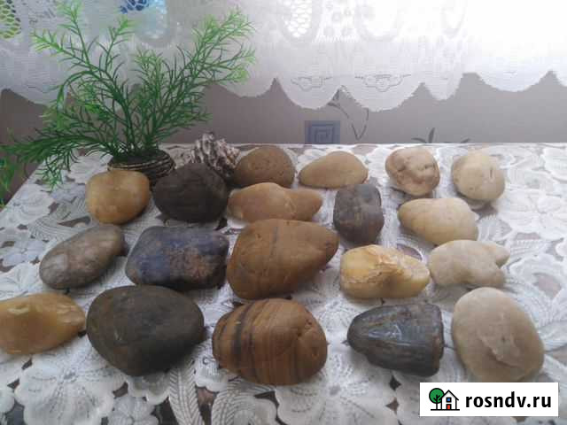 Камушки для Аквариума Клинцы - изображение 1