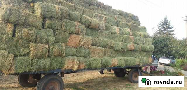 Товары для животных Кореновск - изображение 1