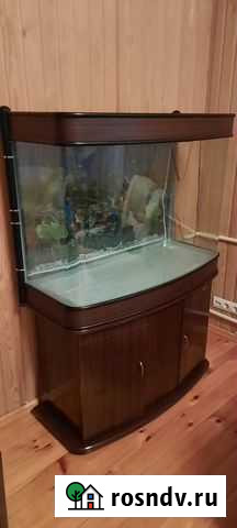 Аквариум Анапа - изображение 1