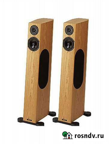 Напольная акустика Audio Physic Tempo 25 oak Нижний Новгород - изображение 1