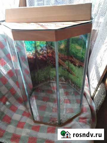 Террариум Агалатово - изображение 1