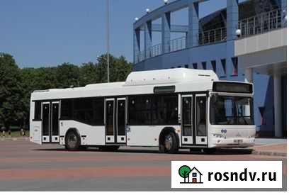 Городской автобус МАЗ 103965, 2021 Екатеринбург - изображение 1