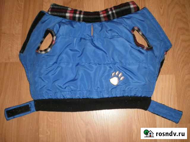 Комбинезон для небольшой собачки Калининград - изображение 1