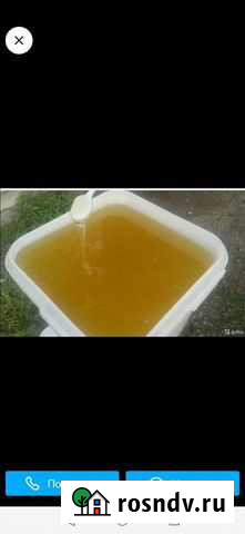 Мед липовый Чебоксары - изображение 1