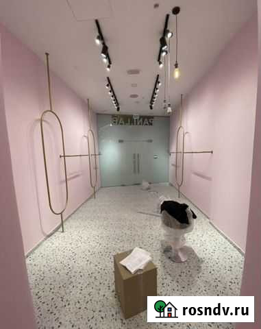 Рейл Москва - изображение 1