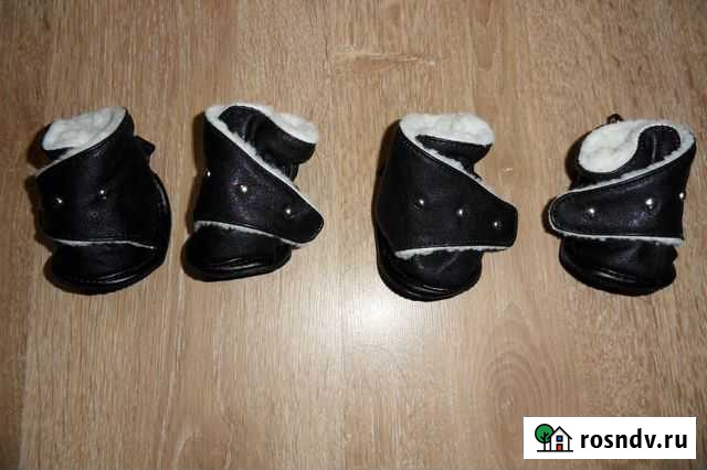 Обувь для собаки Петрозаводск - изображение 1