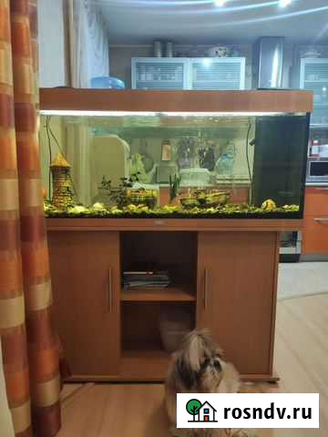 Аквариум Juwel Vision 260 с тумбой Екатеринбург - изображение 1