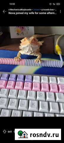 Кабель для Nicky Amoev Киров - изображение 1