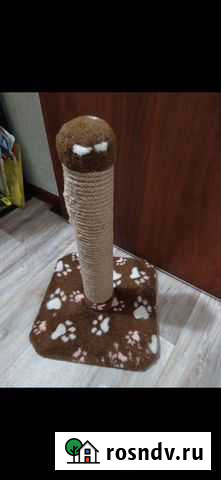 Когтеточка Балашиха - изображение 1