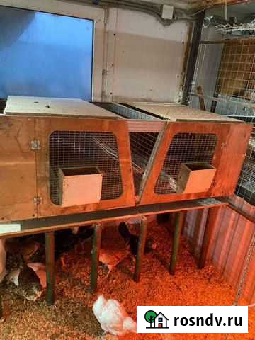 Клетки для кроликов бу Ферзиково - изображение 1