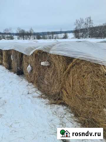 Сено в рулонах с доставкой Краснозаводск - изображение 1