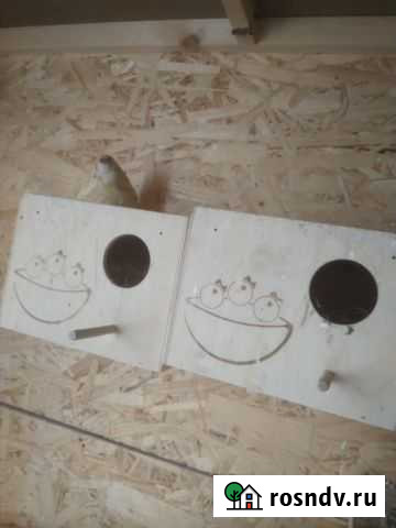 Домики для птиц, купалки, поилки Щербинка - изображение 1