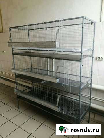 Клетка для бройлеров и другой птицы Новозыбков - изображение 1