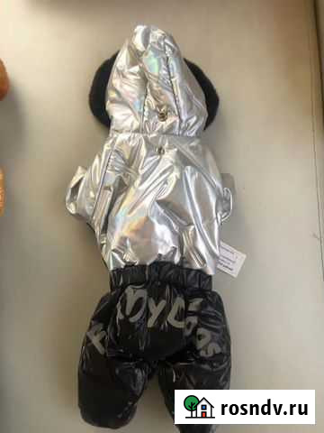 Одежда для маленьких собак Первоуральск - изображение 1