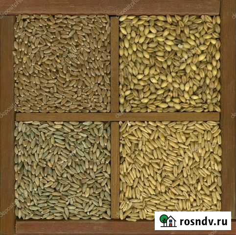 Перловка,Крупа гороховая,Мучка ячменная и горохова Кемерово - изображение 1