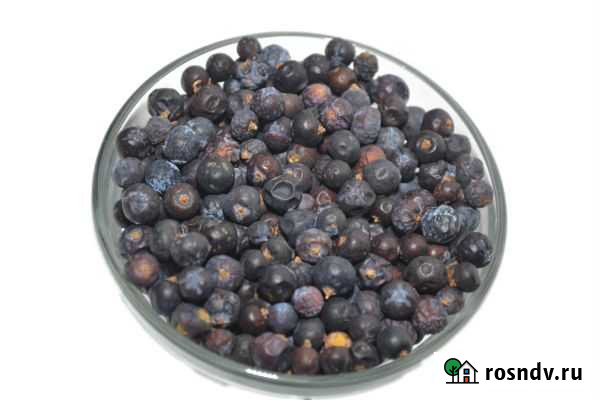 Можжевеловая ягода 100 гр Челябинск - изображение 1