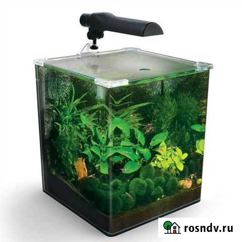 Аквариум Москва - изображение 1