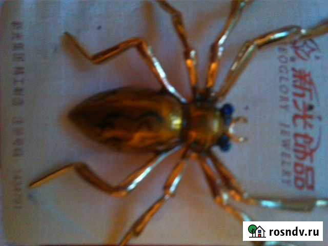 Брошь(паучок) Омск - изображение 1