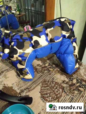 Одежда для маленьких собак Валуйки - изображение 1