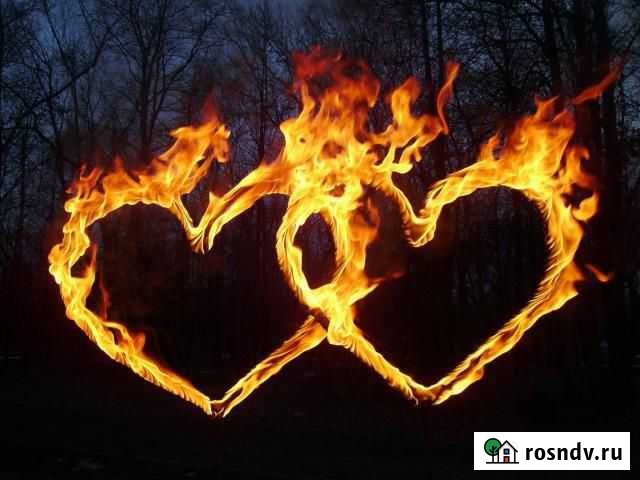 Двойные Горящие сердца на свадьбу сд200 Краснодар - изображение 1