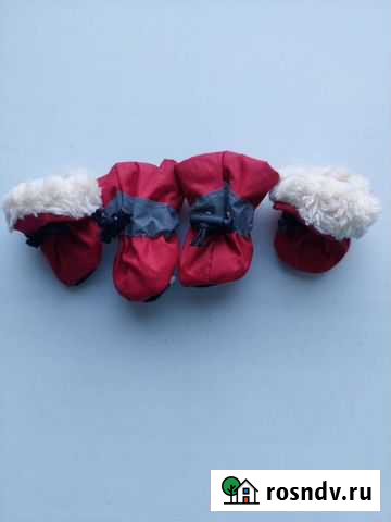 Ботинки для маленьких собак Хабаровск - изображение 1