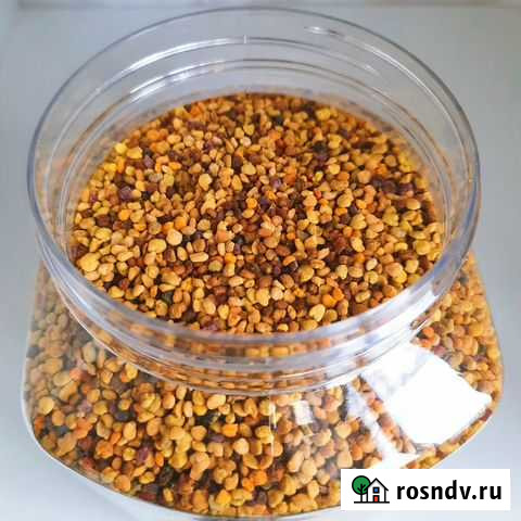 Пыльца пчелинная цветочная (обножка) 2021 Барнаул - изображение 1