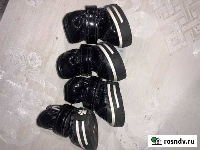 Сапожки для собак Муром - изображение 1