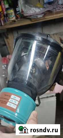 Противогаз Пенза - изображение 1