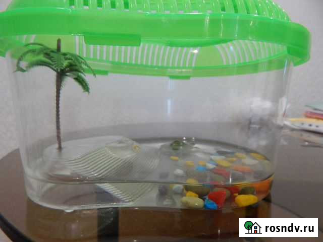 Продам домик-аквариум для черепахи (переносной) Алексеевка - изображение 1