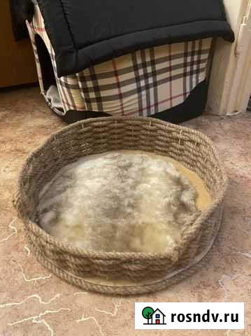 Лежанка для кошек Томск - изображение 1