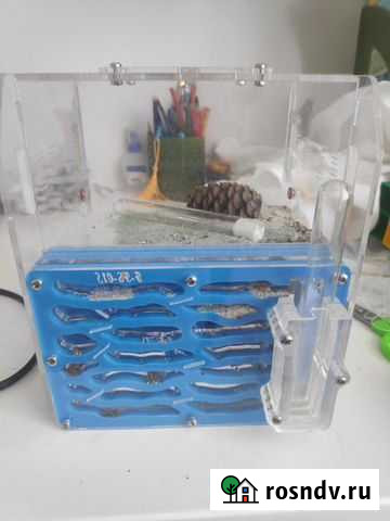 Муравьиный дом, формикарий б.у Чита - изображение 1