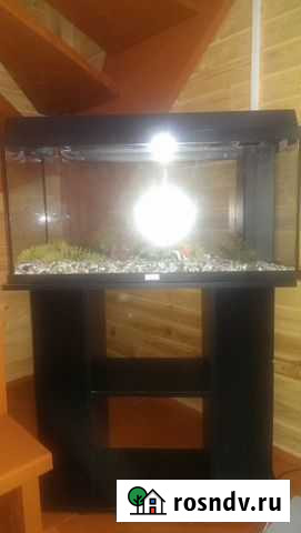 Аквариум для морских обитателей Кокошкино - изображение 1