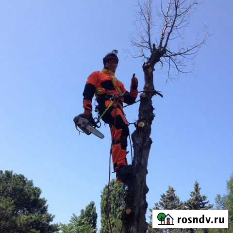 Спил деревьев Анапа. Удаление,Обрезка,Кронирование Анапа - изображение 1