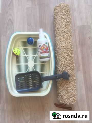 Лоток Комсомольск-на-Амуре - изображение 1