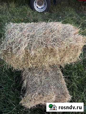 Сено луговое Дугулубгей - изображение 1
