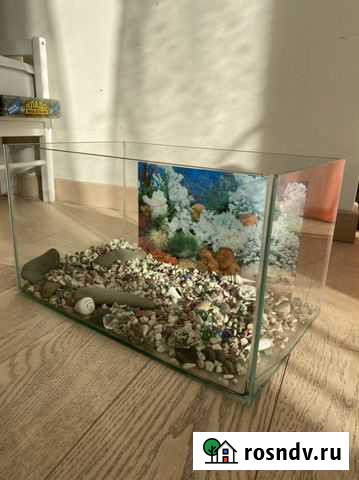 Аквариум Самара - изображение 1