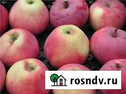 Журналы Махачкала - изображение 1