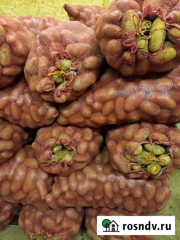 Картофель Петропавловск-Камчатский - изображение 1