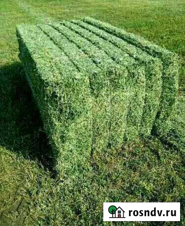 Солома и сено отличного качества Кострома - изображение 1