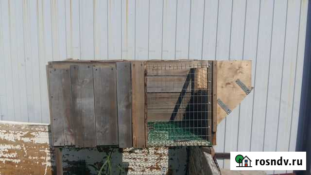 Клетка для кроликов Хабаровск - изображение 1