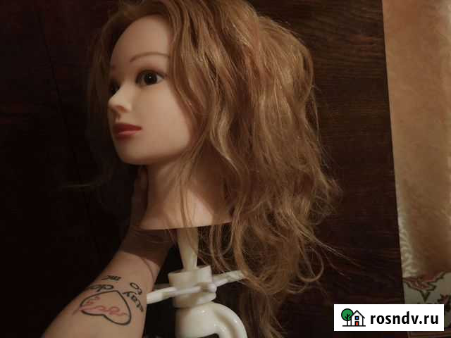 Манекен для причёсок с держателем Воронеж - изображение 1