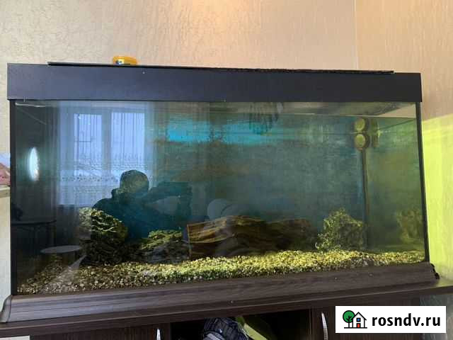 Аквариум с тумбой бу Рузаевка - изображение 1