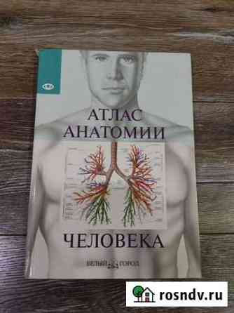 Атлас анатомии человека. Белый город Новочеркасск