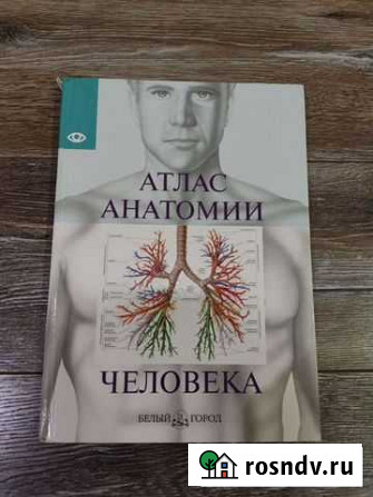 Атлас анатомии человека. Белый город Новочеркасск - изображение 1