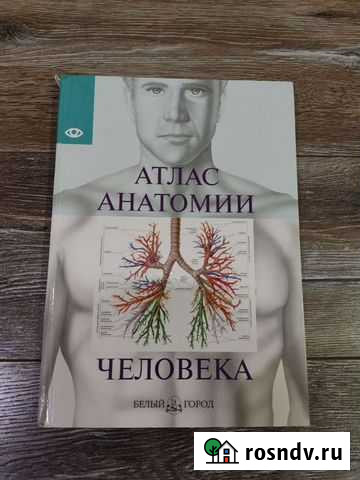 Атлас анатомии человека. Белый город Новочеркасск - изображение 1