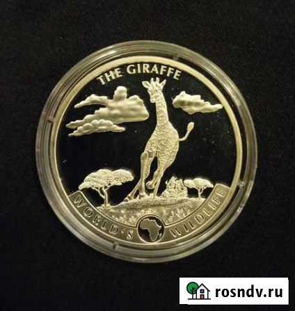 Жираф 2019. Конго. Серебро Волгоград - изображение 1