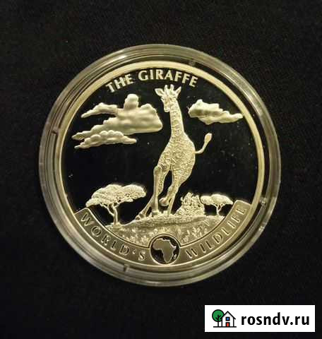 Жираф 2019. Конго. Серебро Волгоград - изображение 1