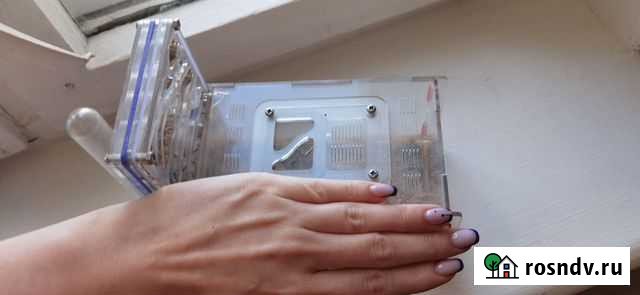 Муравьи Жнецы Санкт-Петербург - изображение 1